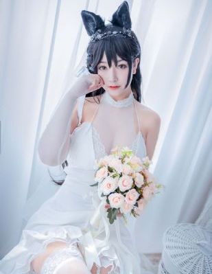 免费藏海花电视剧_BD国语免费电视剧