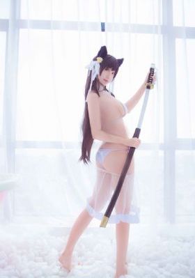 噼里啪啦免费在线观看_高清日韩免费观看